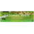 Acrylic Glass Block Name Plate - Golf Ball